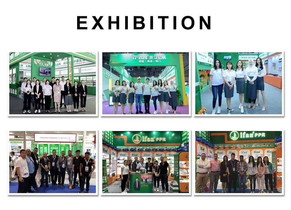 Exhibition(001)